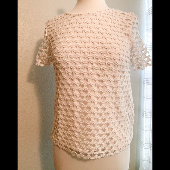 Ann Taylor Tops - Ann Taylor cream scallop lined top